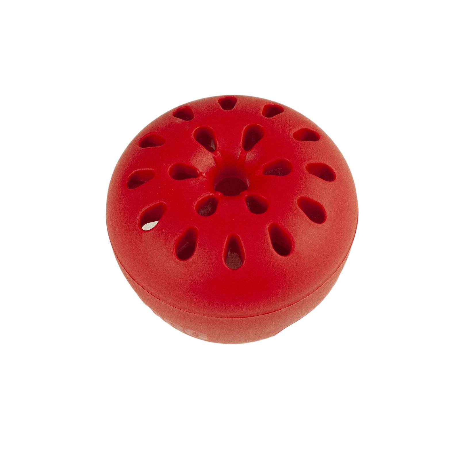 Fruit Fly Trap A1B1 - product image 2