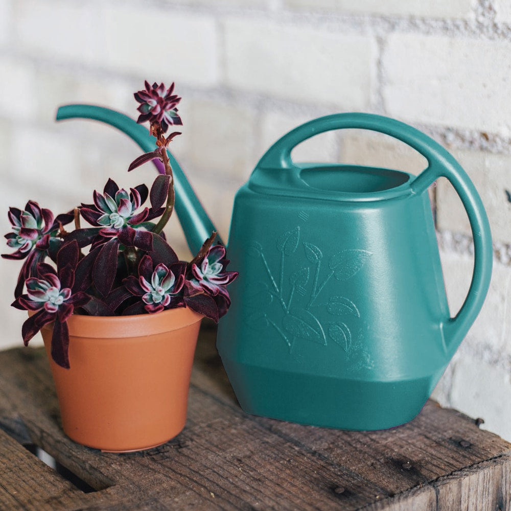Indoor Plastic Watering Can, 4.25-L Y8B1 - product image 7