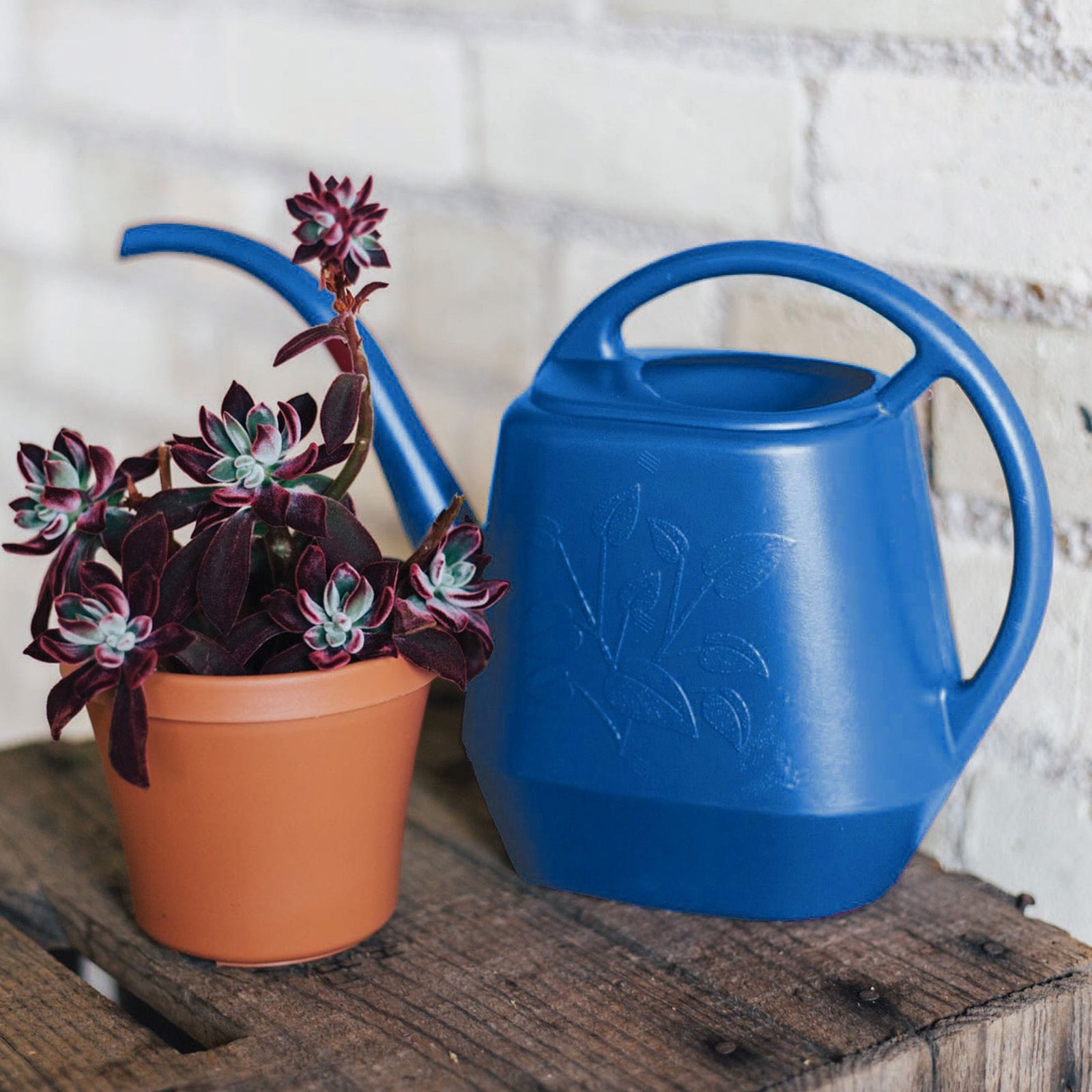 Indoor Plastic Watering Can, 4.25-L Y8B1 - product image 8
