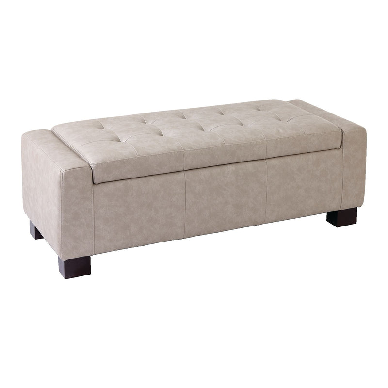 Louisa Upholstered Hinge-Top Storage Ottoman/Bench With Padded Seat, Light Grey U5J8