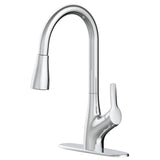 Clarivo 2-in-1 Filtration 1-Handle Pull Down Kitchen Faucet, Various Finishes N2O2 - product image 1