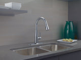 1-Handle Pull-Down Kitchen Faucet Arctic, Stainless W5I0 - product image 4
