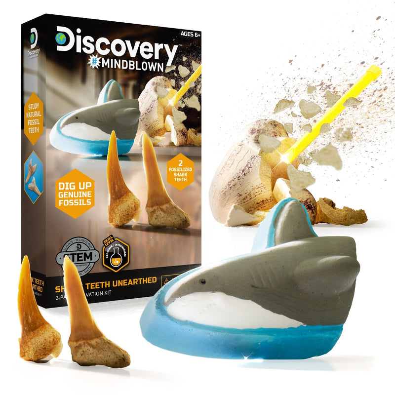 Mini Unearthed Shark Teeth Excavation Kit/Educational Toy for Ages 6+, 2-pc Y2K5