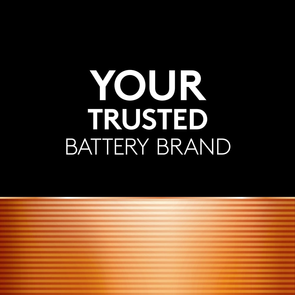 Coppertop AAA Alkaline Batteries, All Purpose, 10-pk Z5W9 - product image 2