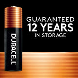 Coppertop AAA Alkaline Batteries, All Purpose, 10-pk Z5W9 - product image 3