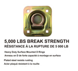 5,000-lb Heavy Duty D-Ring, Recessed Mountable B6N8 - product image 2