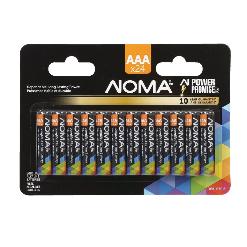 AAA Alkaline Batteries, Long Lasting, All Purpose, 24-pk N4W1