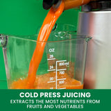 Wide Mouth Cold Press Slow Juicer with Anti-Clog L7W6 - product image 5