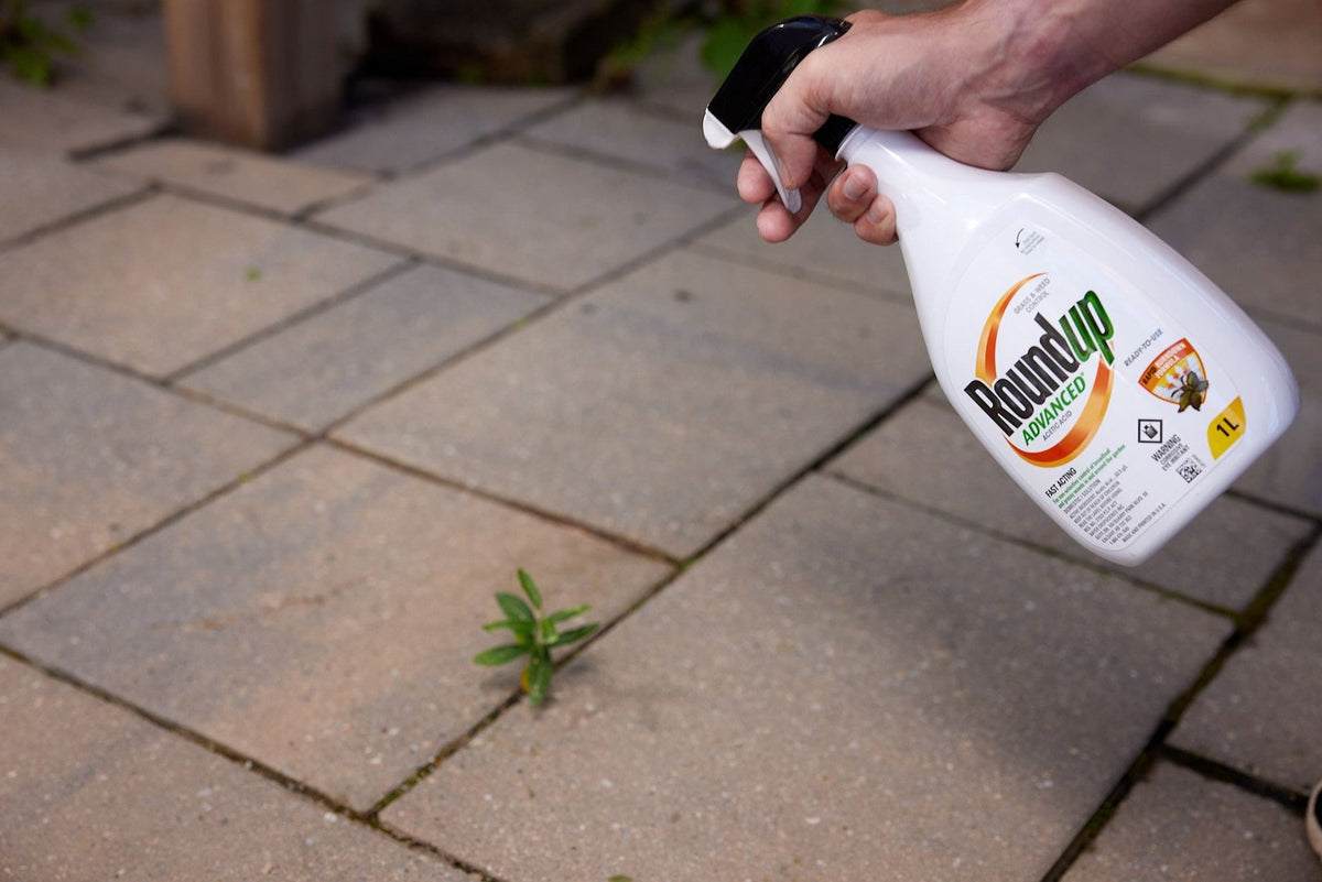 Advanced Ready-To-Use Grass & Weed Control Spray, 1-L E8A7 - product image 5