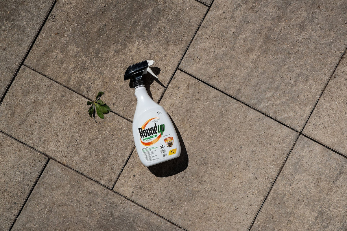 Advanced Ready-To-Use Grass & Weed Control Spray, 1-L B1L2 - product image 6