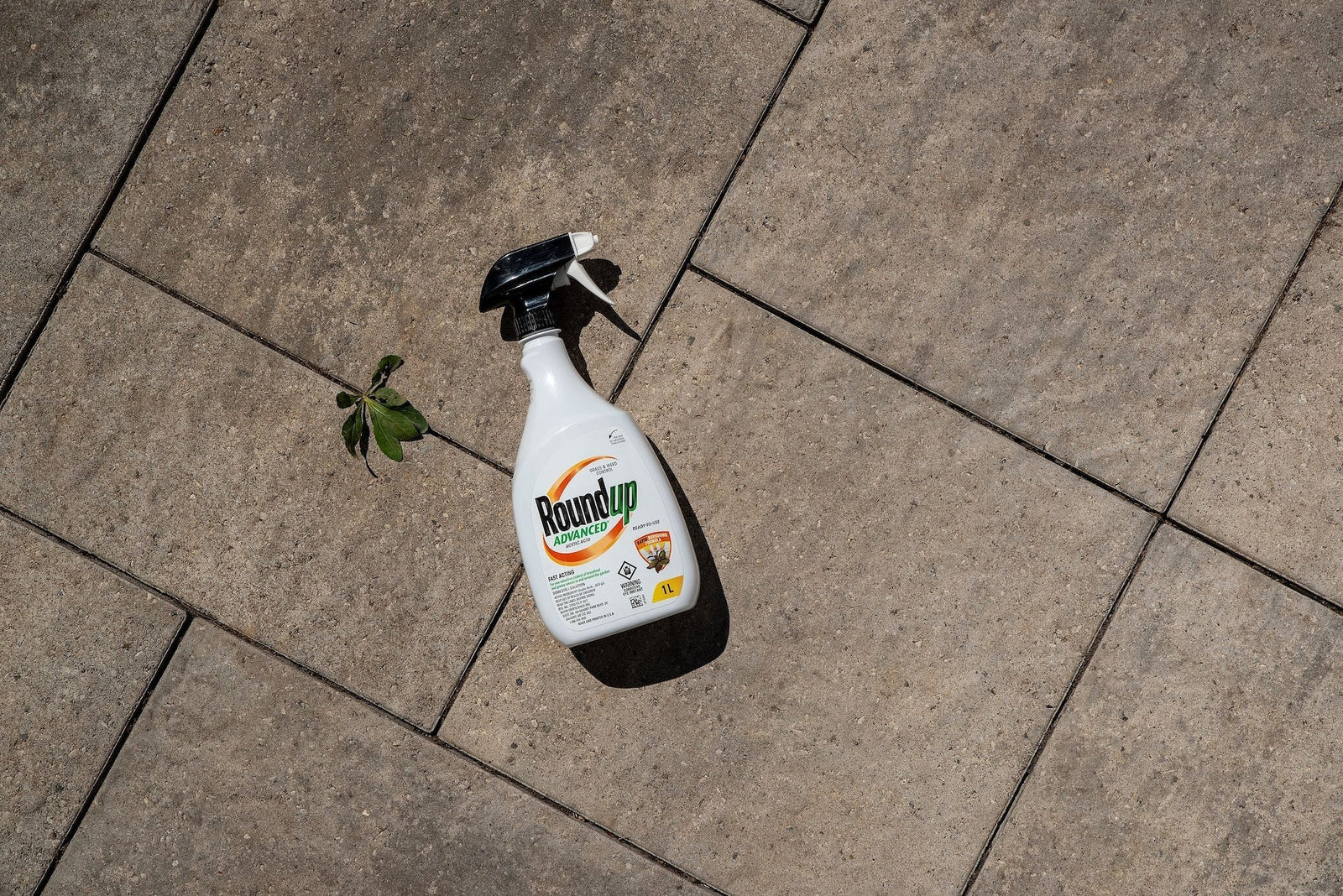 Advanced Ready-To-Use Grass & Weed Control Spray, 1-L E8A7 - product image 6